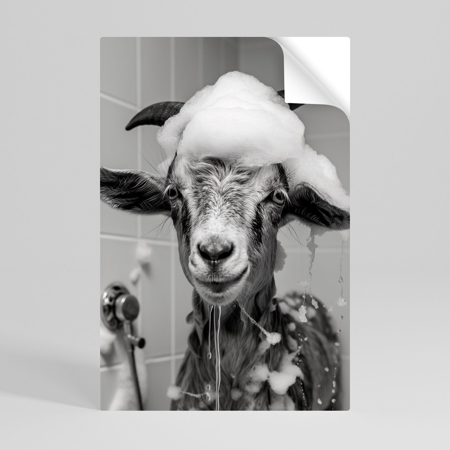 Poster verticale staccabile e attaccabile SOAPY GOAT GIGGLES