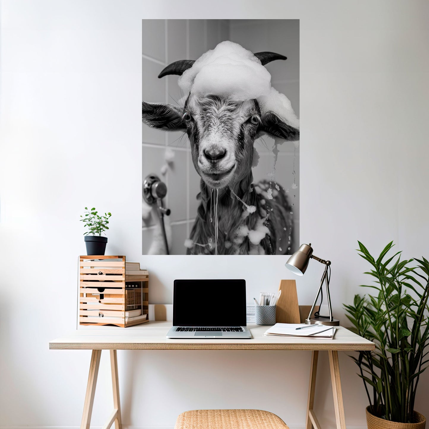 Poster verticale staccabile e attaccabile SOAPY GOAT GIGGLES
