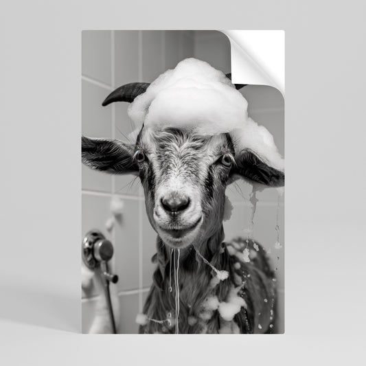 Poster verticale staccabile e attaccabile SOAPY GOAT GIGGLES