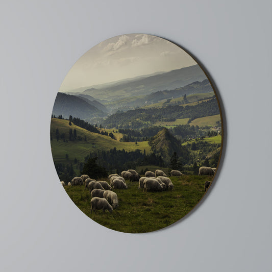 SHEEP IN SERENITY Round Wall Art
