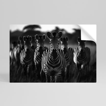 Poster orizzontale staccabile e attaccabile STRIPED SYMPHONY SAGA