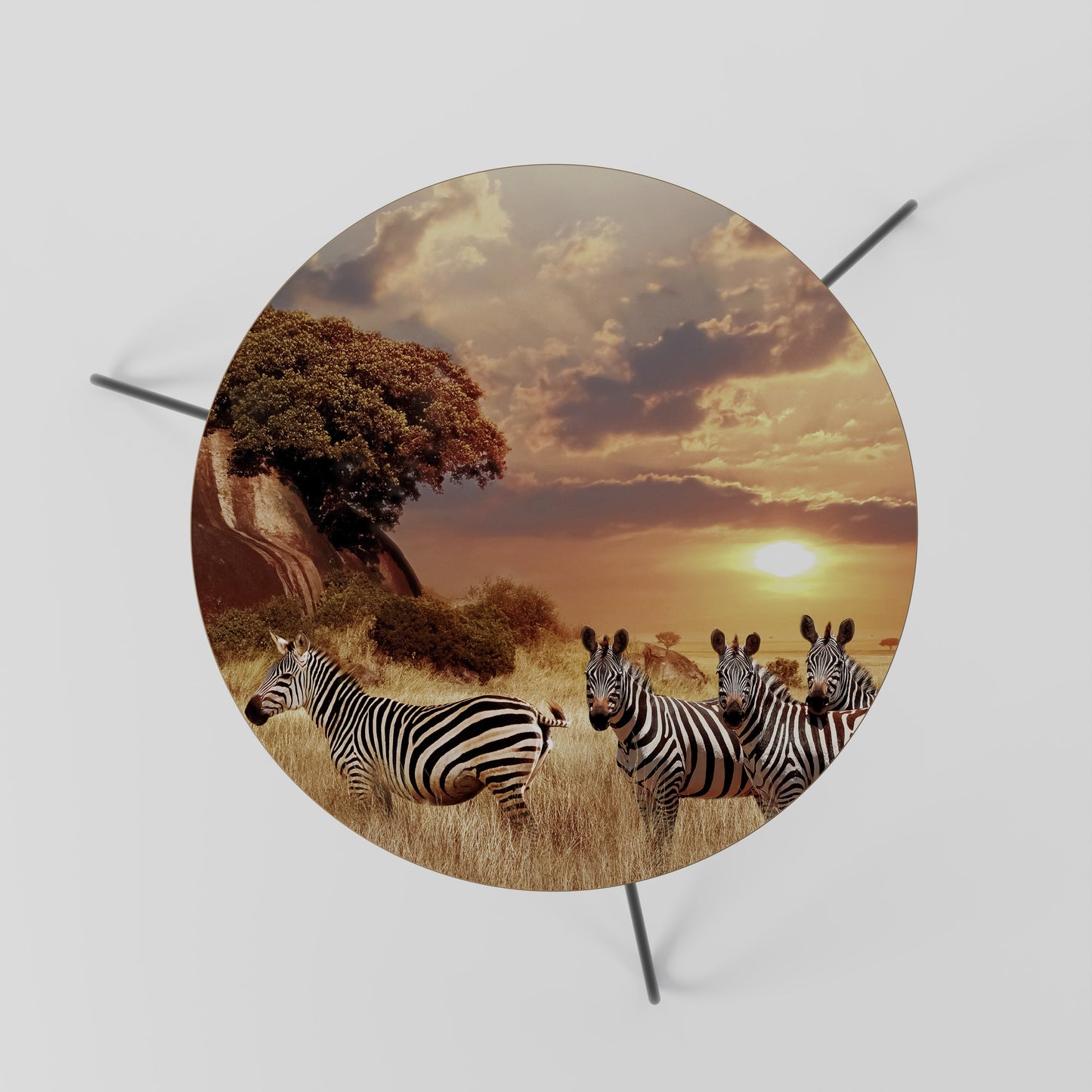 ZEBRA SUNSET SERENADE Coffee Table 60