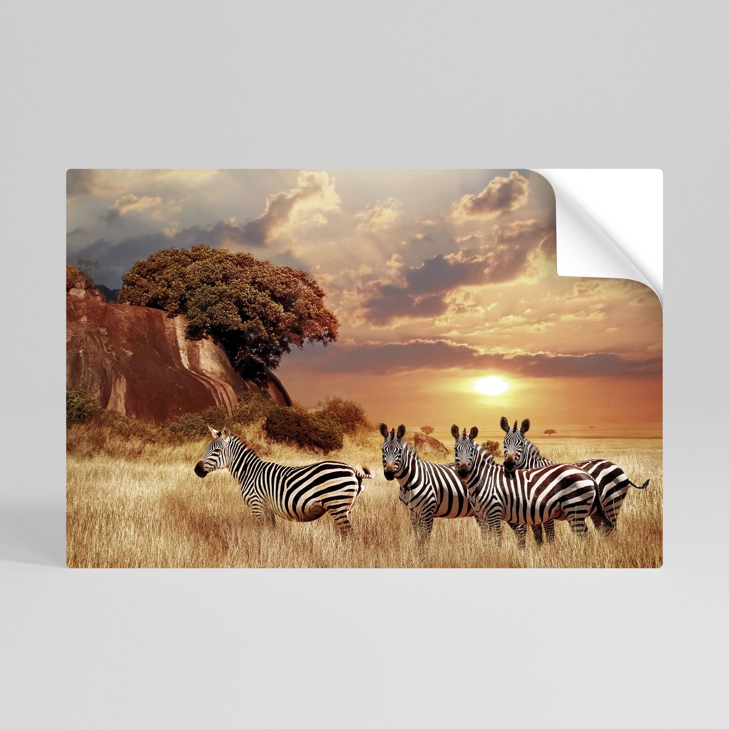 Poster orizzontale staccabile e attaccabile "ZEBRA SUNSET SERENADE"