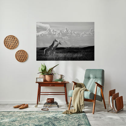 ELEGANT HEIGHTS SVELATO Poster orizzontale staccabile e attaccabile