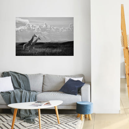 ELEGANT HEIGHTS SVELATO Poster orizzontale staccabile e attaccabile