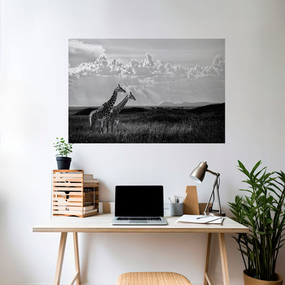 ELEGANT HEIGHTS SVELATO Poster orizzontale staccabile e attaccabile