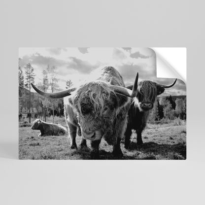 Poster orizzontale staccabile e attaccabile "QUIETE DELLE VECCHIE ANIME"