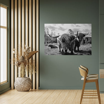 Poster orizzontale staccabile e attaccabile "QUIETE DELLE VECCHIE ANIME"