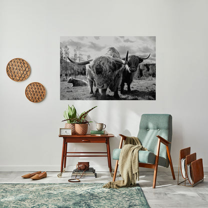 Poster orizzontale staccabile e attaccabile "QUIETE DELLE VECCHIE ANIME"