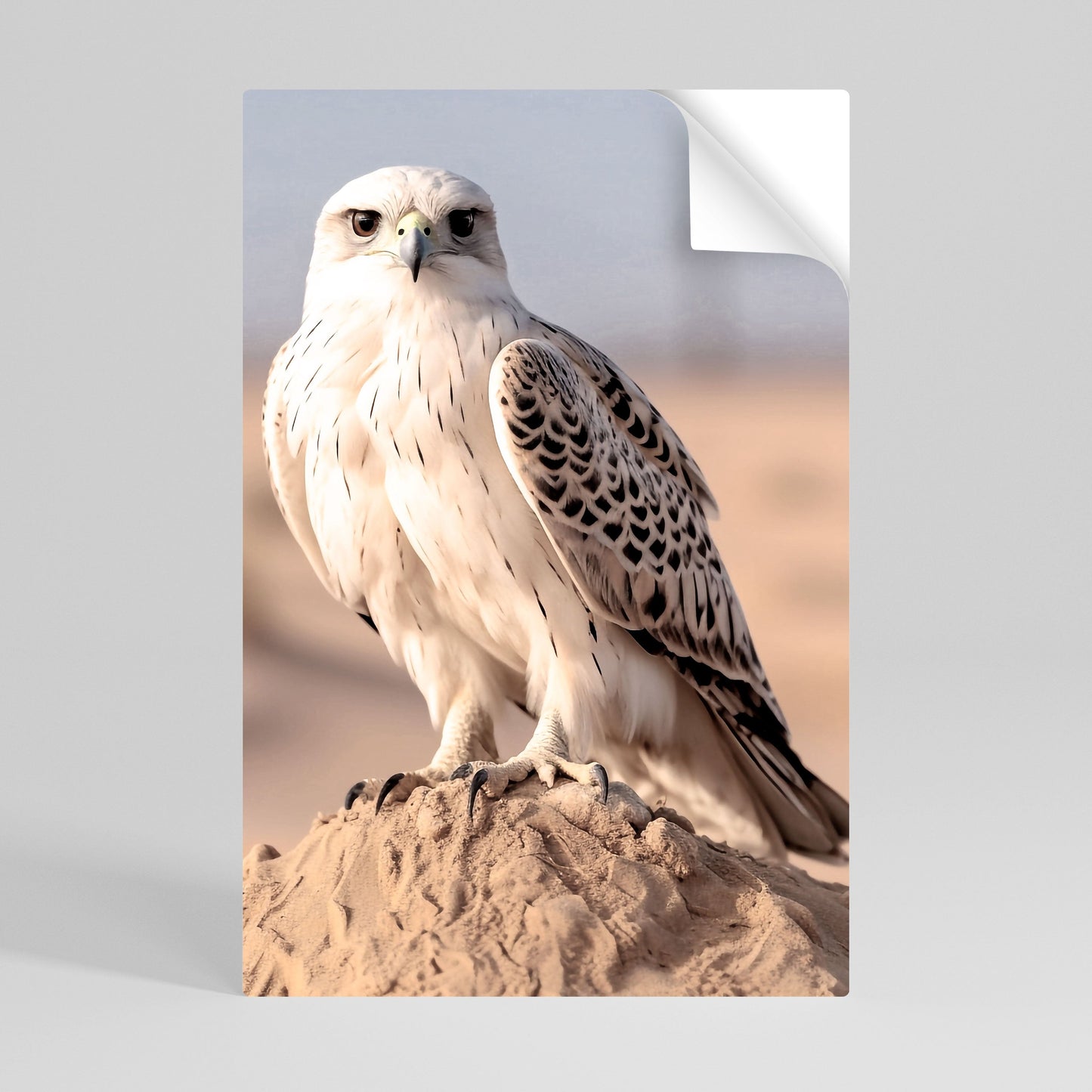 Poster verticale staccabile e attaccabile SILENT WINGS OF POWER