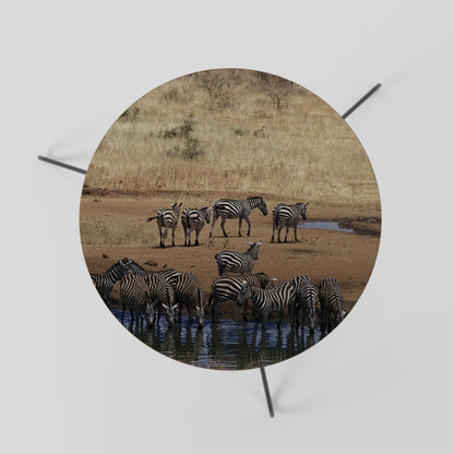 THE ZEBRA HARMONY Tavolino da Salotto Ø60