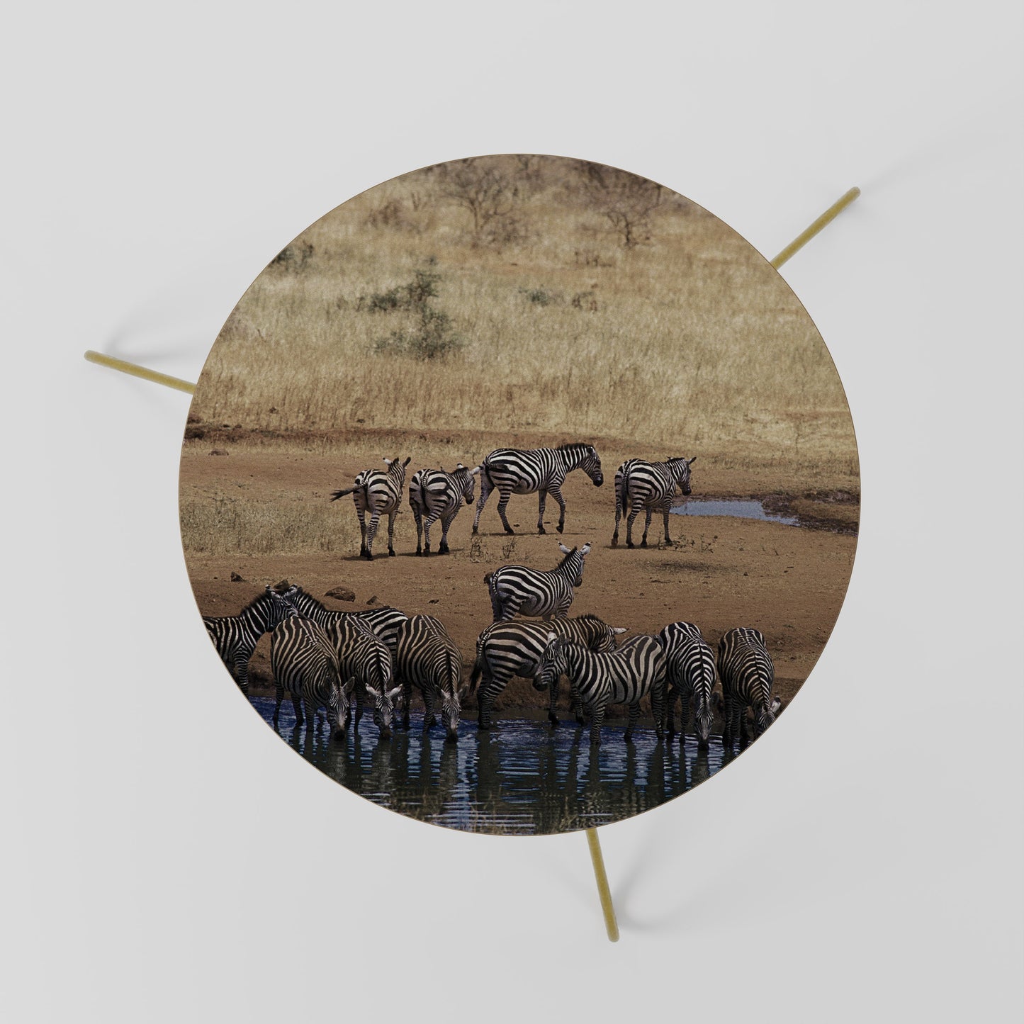 THE ZEBRA HARMONY Tavolino da Salotto Ø60