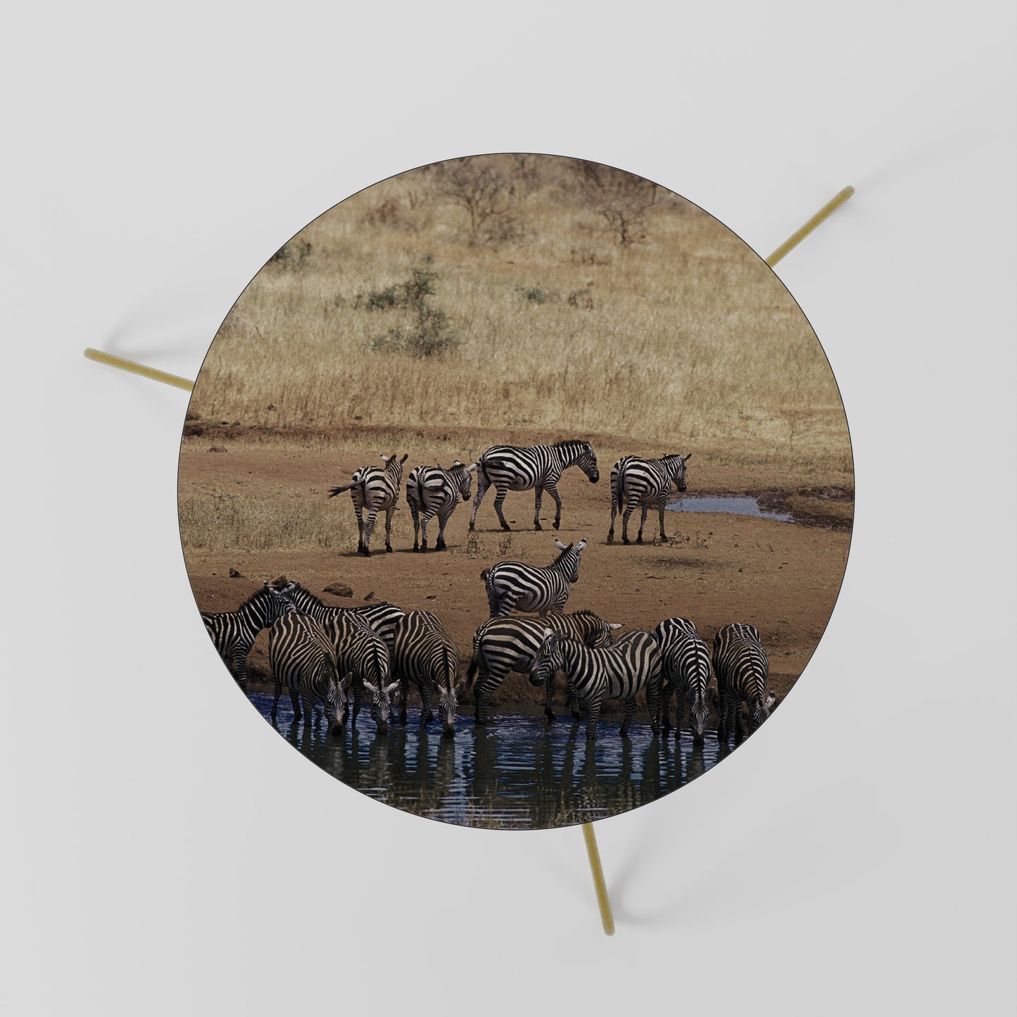 THE ZEBRA HARMONY Tavolino da Salotto Ø60