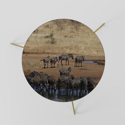 THE ZEBRA HARMONY Tavolino da Salotto Ø60