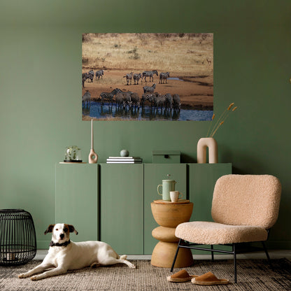 Poster orizzontale staccabile e attaccabile THE ZEBRA HARMONY