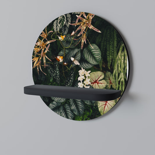 VERDANT ARINI Round Art Shelf In Black Finish