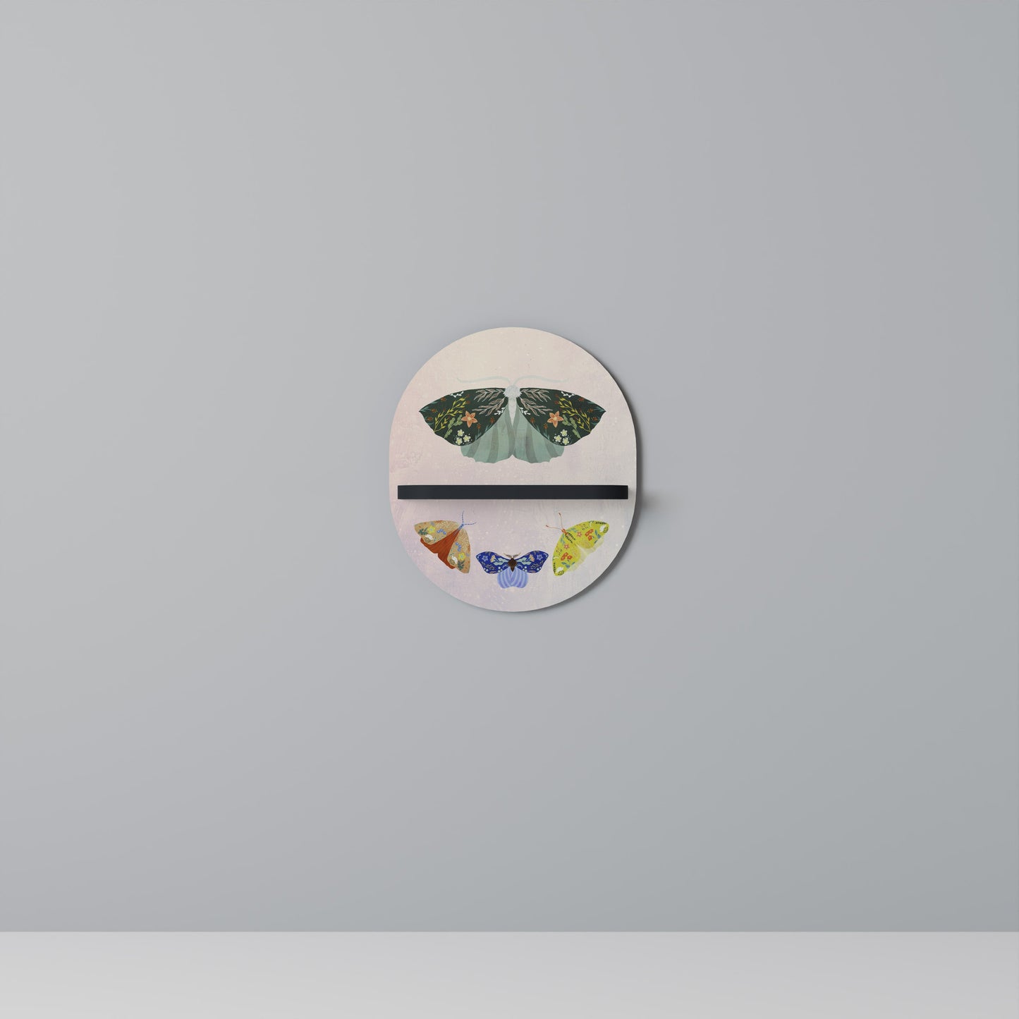 MOTH INTO THE LIGHT Oval Art Shelf In Black Finish