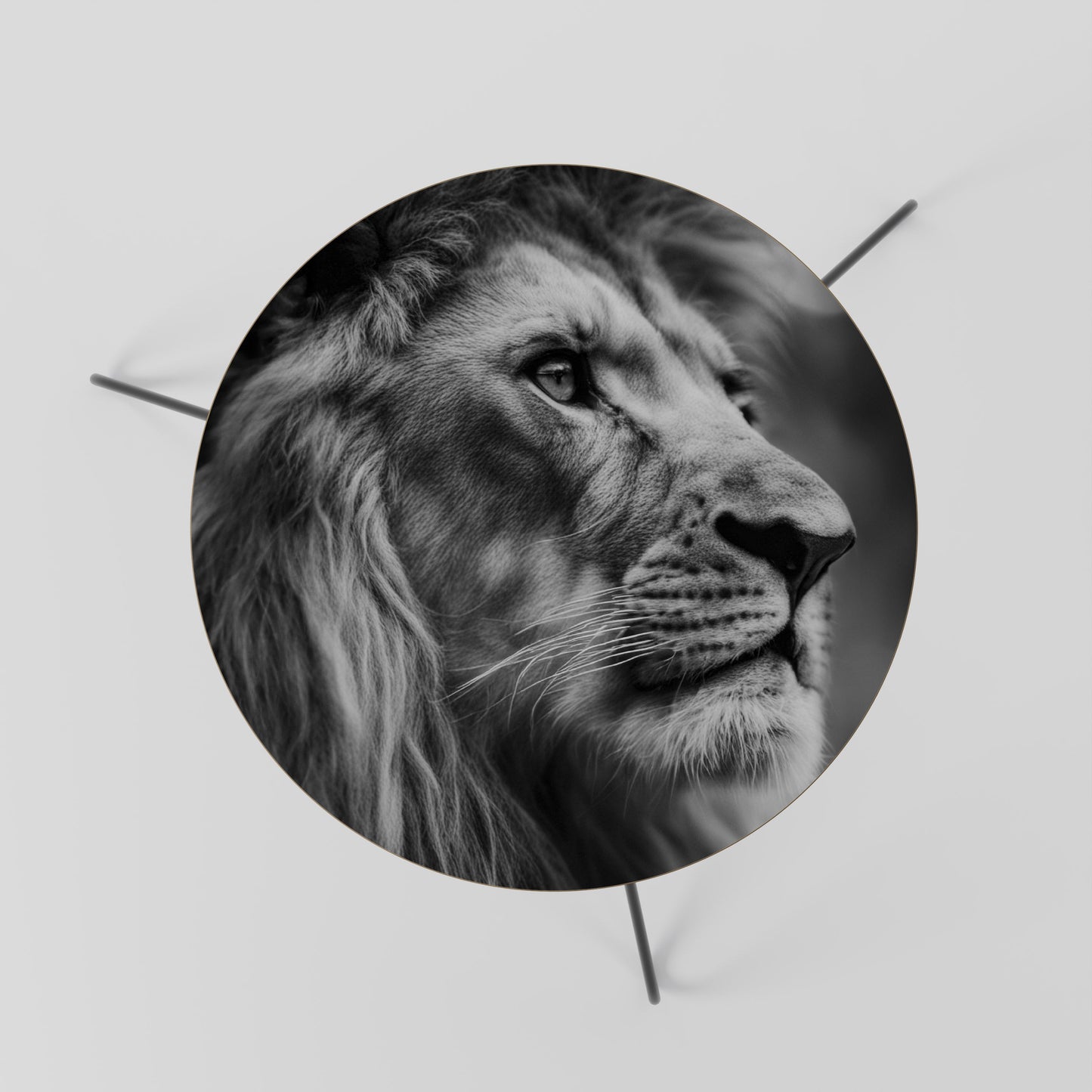 ROYAL REFLECTION Coffee Table 60