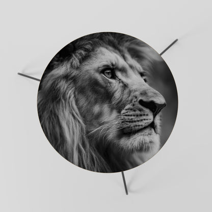 ROYAL REFLECTION Coffee Table 60