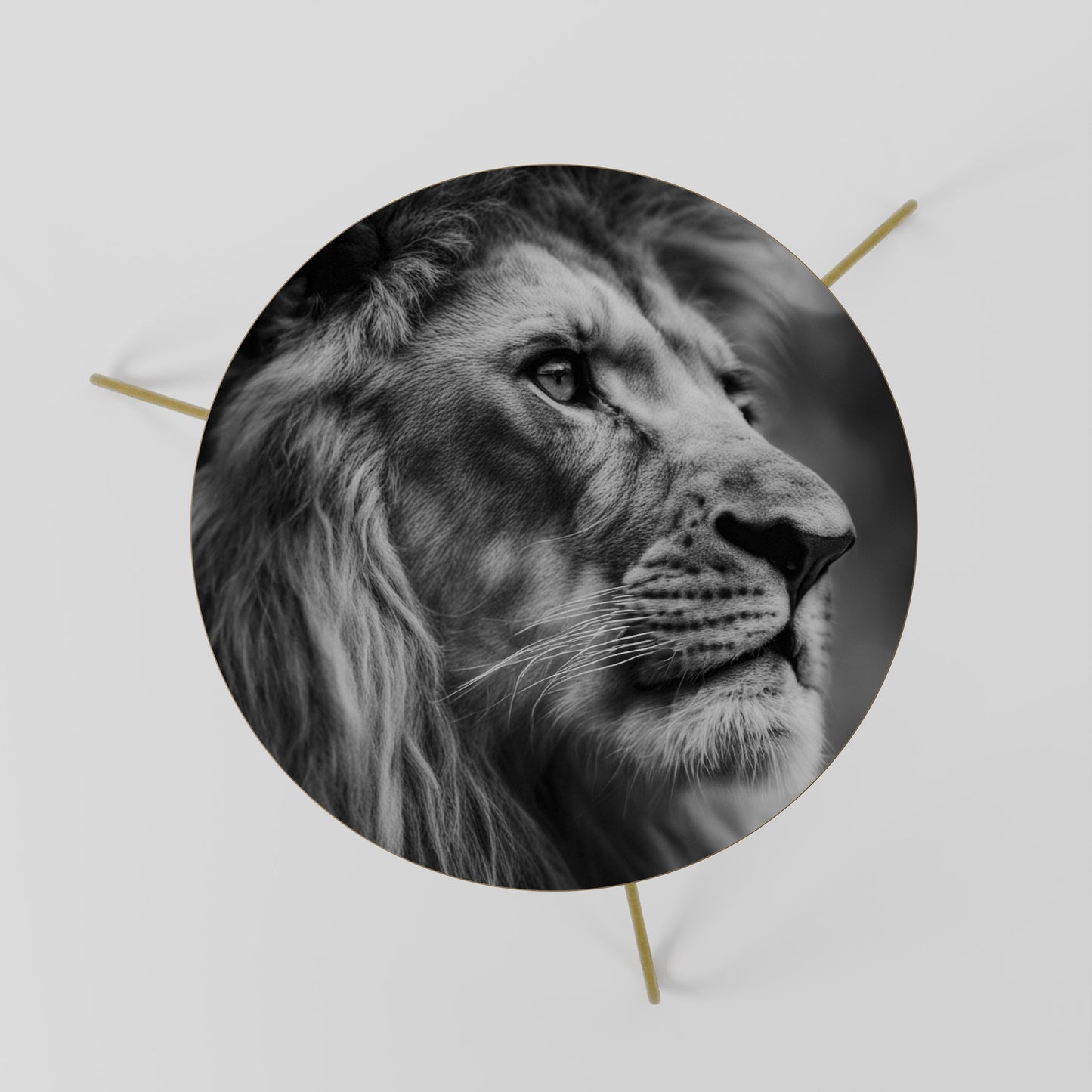 ROYAL REFLECTION Coffee Table 60