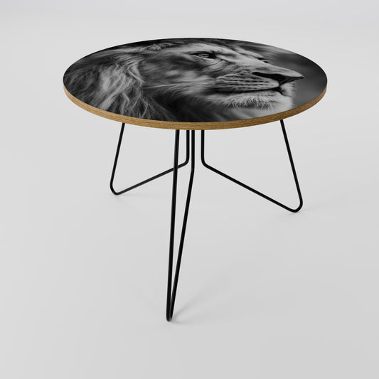 ROYAL REFLECTION Coffee Table 69