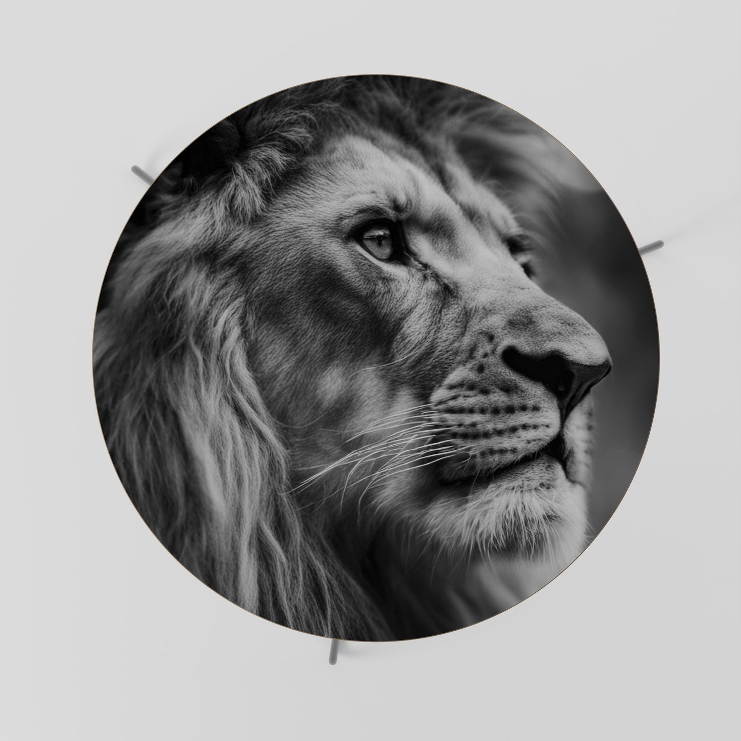 ROYAL REFLECTION Coffee Table 69