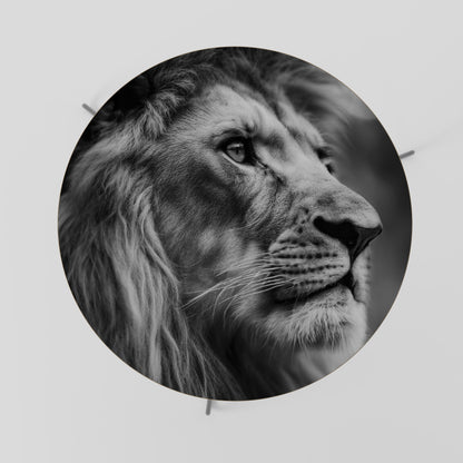 ROYAL REFLECTION Coffee Table 69