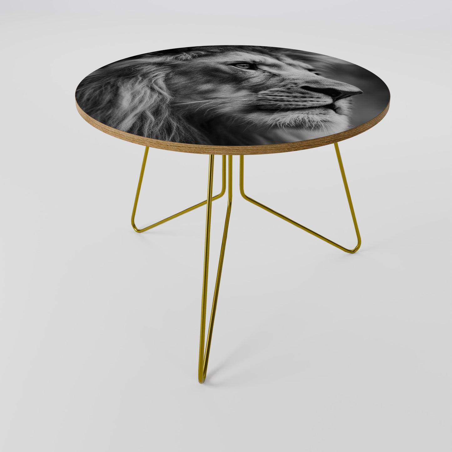 ROYAL REFLECTION Coffee Table 69