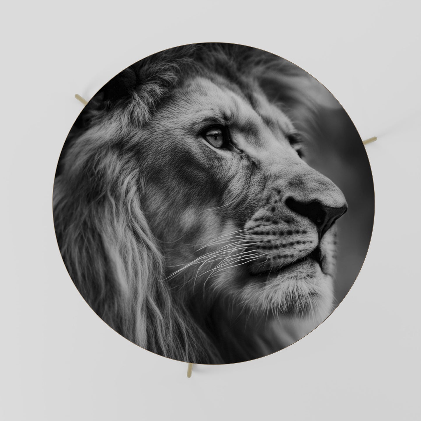 ROYAL REFLECTION Coffee Table 69