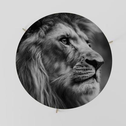 ROYAL REFLECTION Coffee Table 69