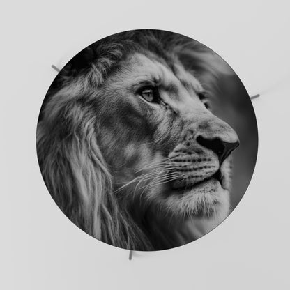 ROYAL REFLECTION Coffee Table 69