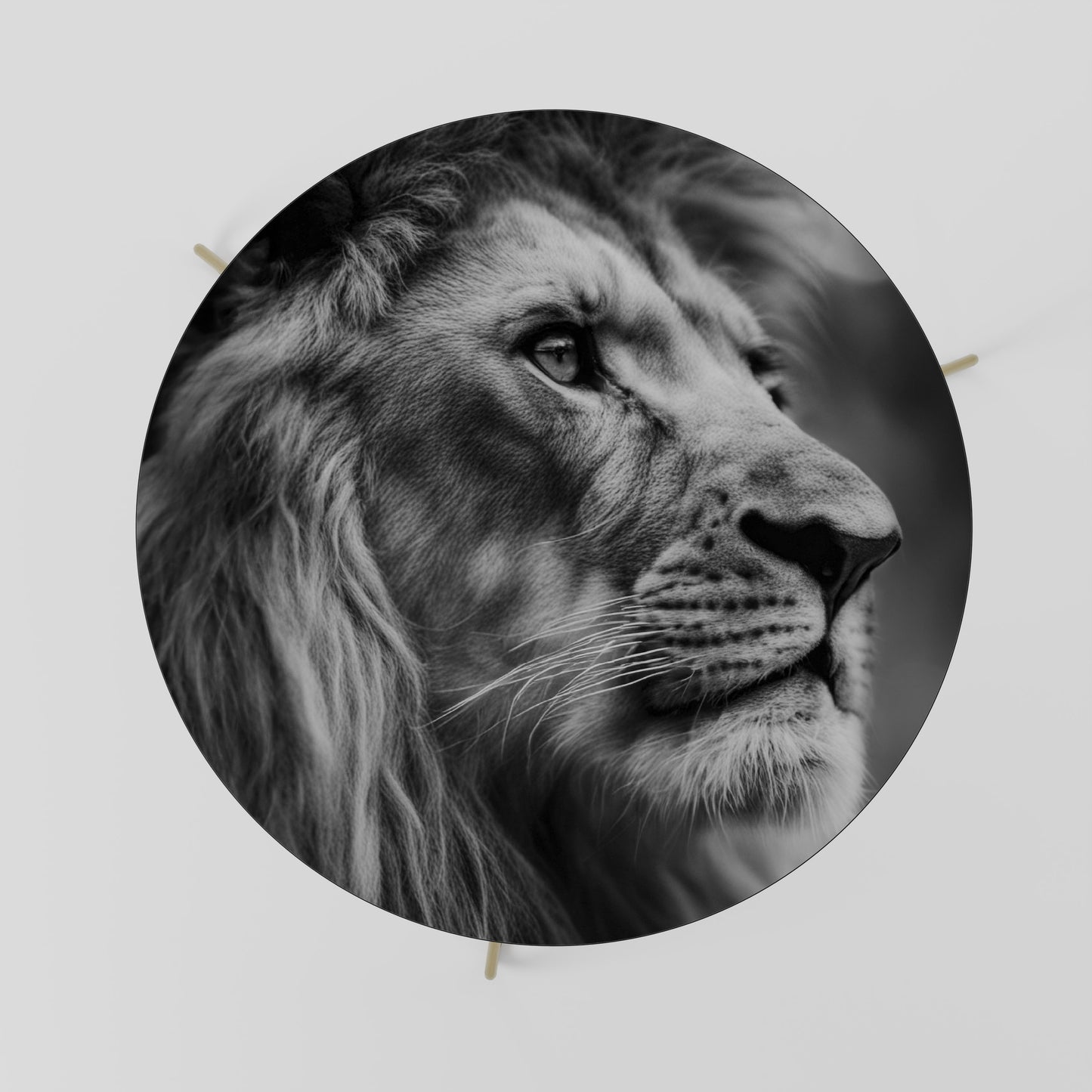 ROYAL REFLECTION Coffee Table 69