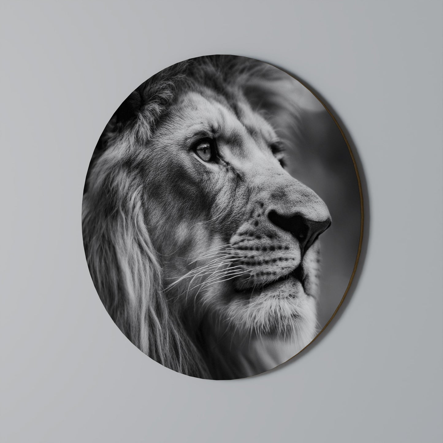 ROYAL REFLECTION Decorazione da Parete Rotonda