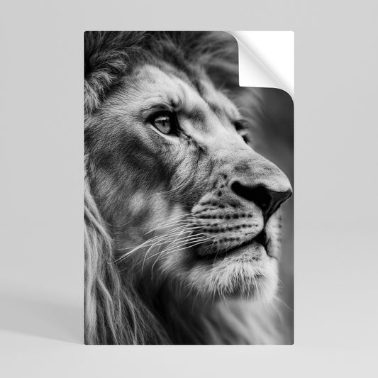 Poster verticale staccabile e attaccabile ROYAL REFLECTION